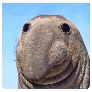 Meet your Posher, Wesley